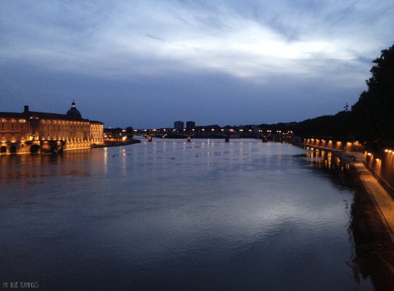Garonne river at night